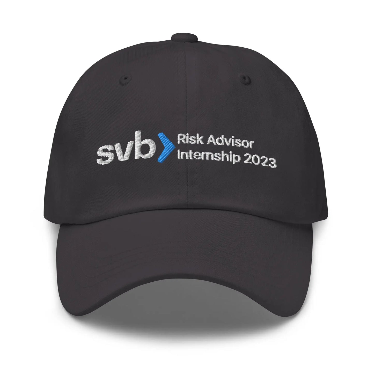 "SVB Risk Advisor" Cap Spirit Capital