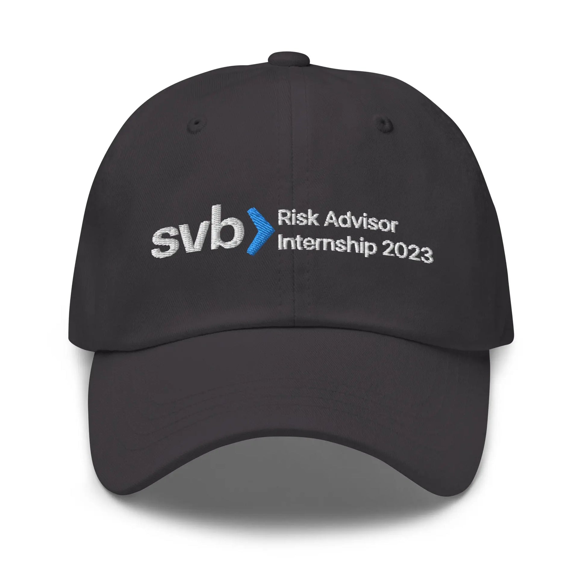 "SVB Risk Advisor" Cap Spirit Capital