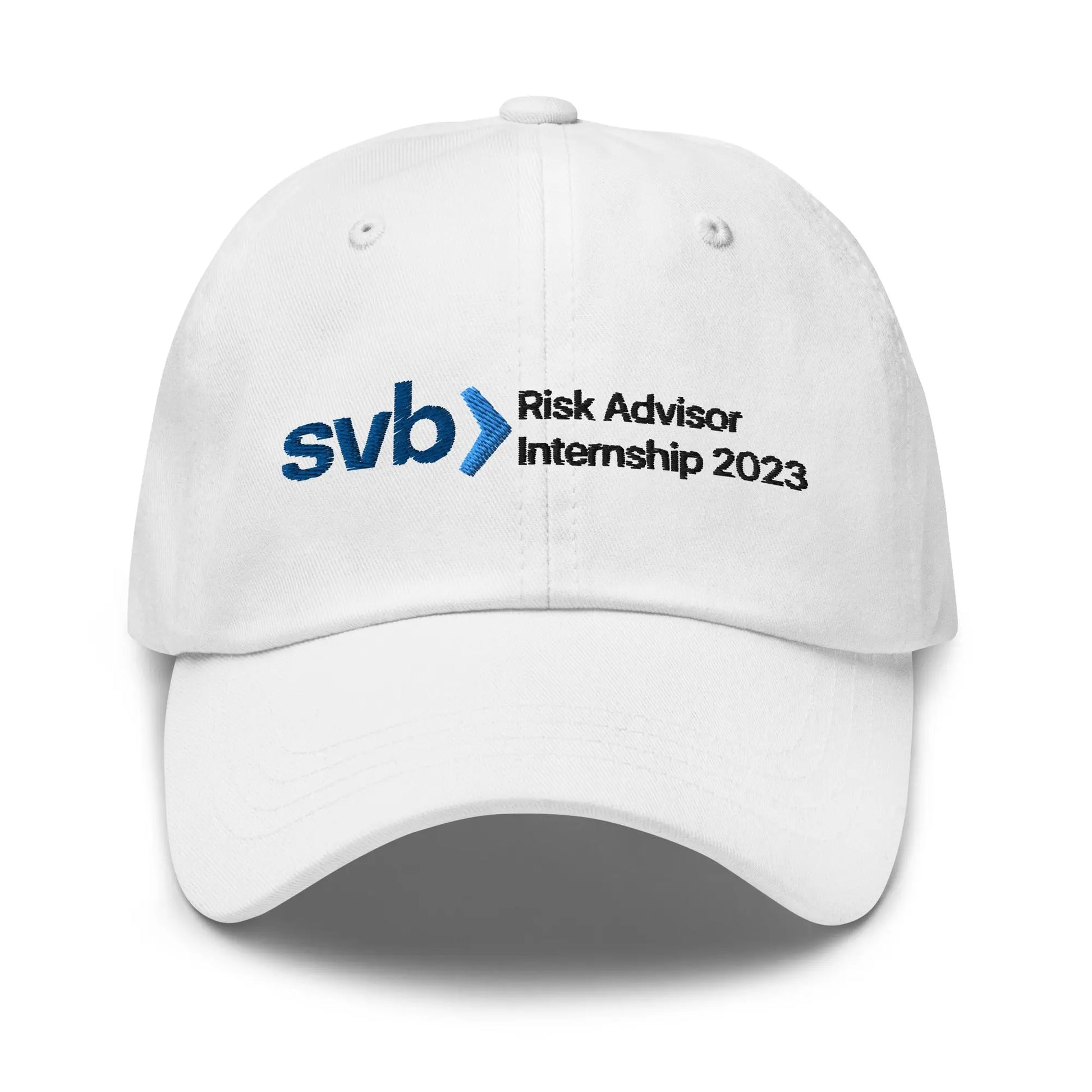 "SVB Risk Advisor" Cap Spirit Capital