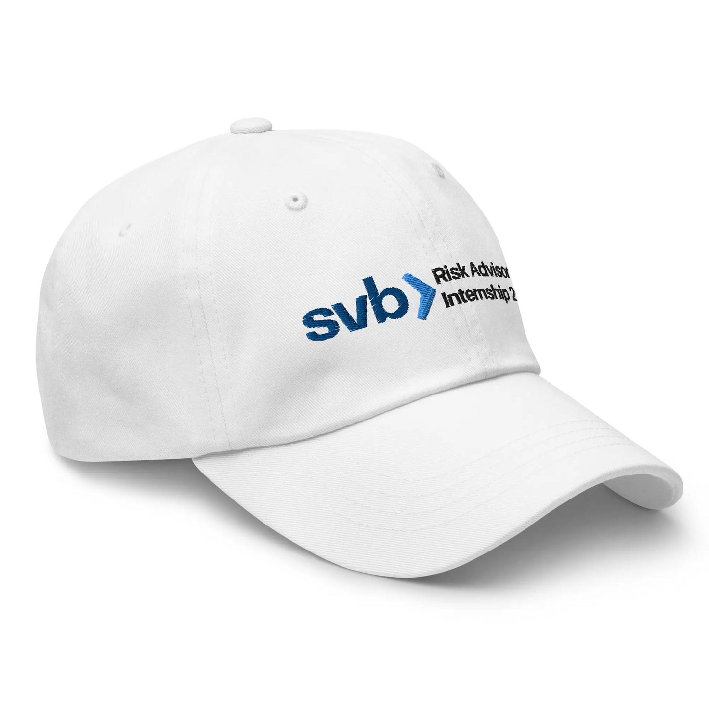 "SVB Risk Advisor" Cap Spirit Capital